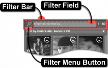 Filter Bar