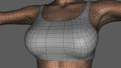 Mesh Reduced Further